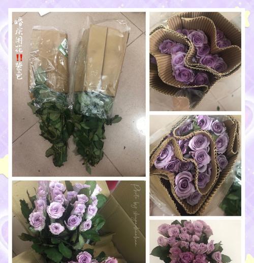 结婚后如何正确养护玫瑰花？有哪些特别的养护建议？