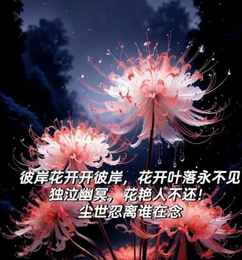 彼岸花花语是什么？彼岸花在花语中代表了什么？