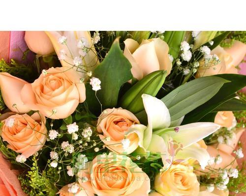 19朵玫瑰花代表什么？它的花语是什么？