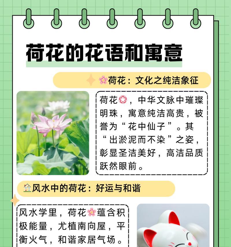 福寿花的寓意和花语是什么？