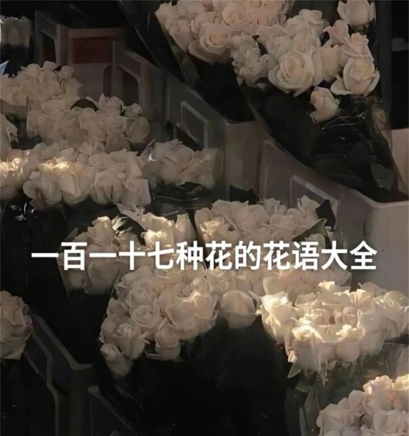 超实用的花语是什么花？哪种花的花语最实用？