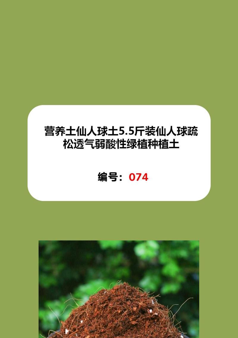 仙人球收获后如何进行移植？选择哪种土壤最合适？