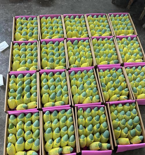 芒果作为礼物的花语含义是什么？