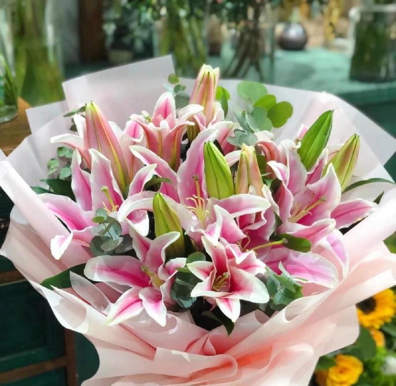 神仙百合的花语有哪些？