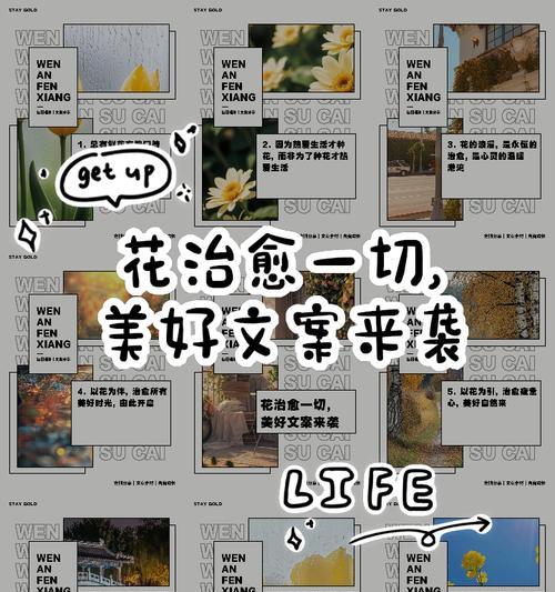 春日美好时光的花语有哪些？