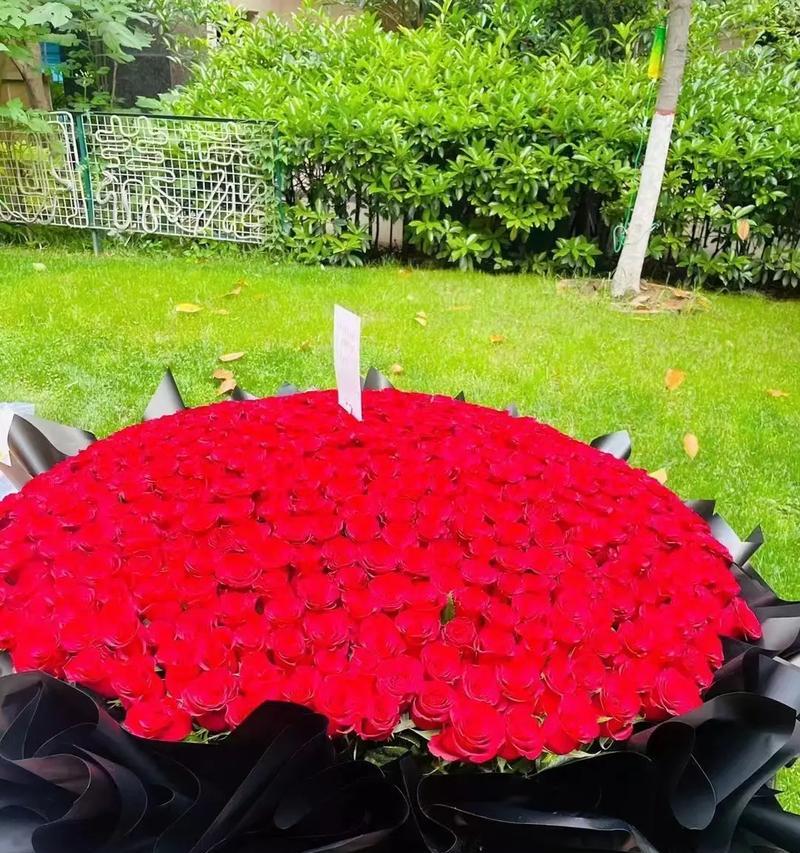 二十九朵玫瑰花代表了什么？