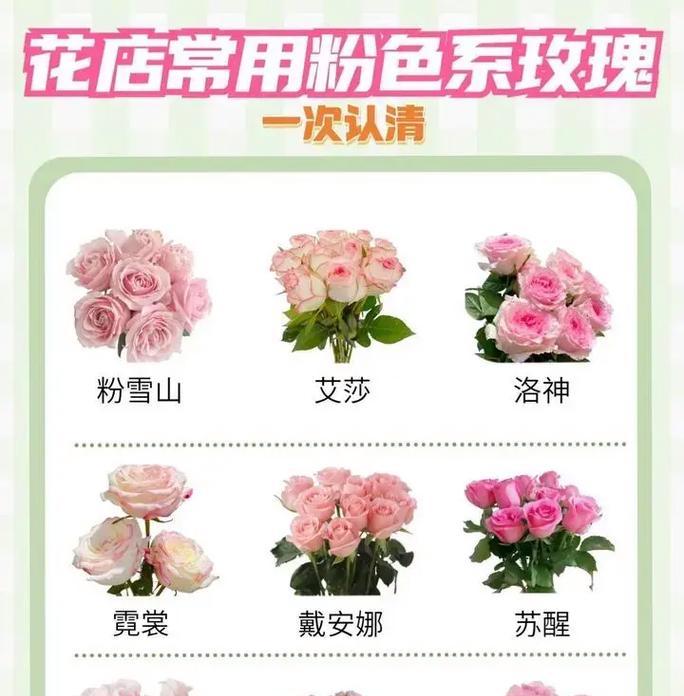 混合玫瑰花养护的秘诀是什么？