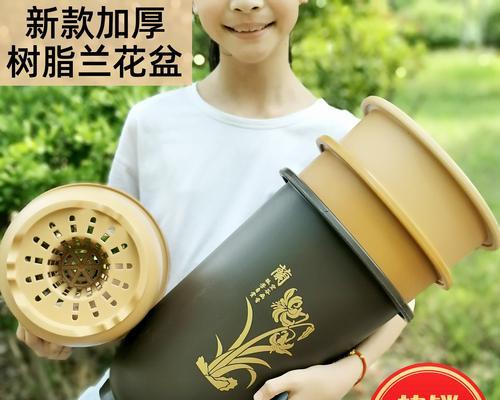 透明塑料盆适合君子兰吗？如何养护？
