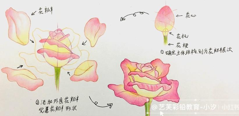如何让玫瑰花铁头快速开花？