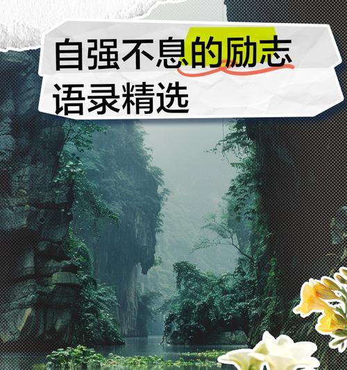 哪种花代表自强不息和励志？