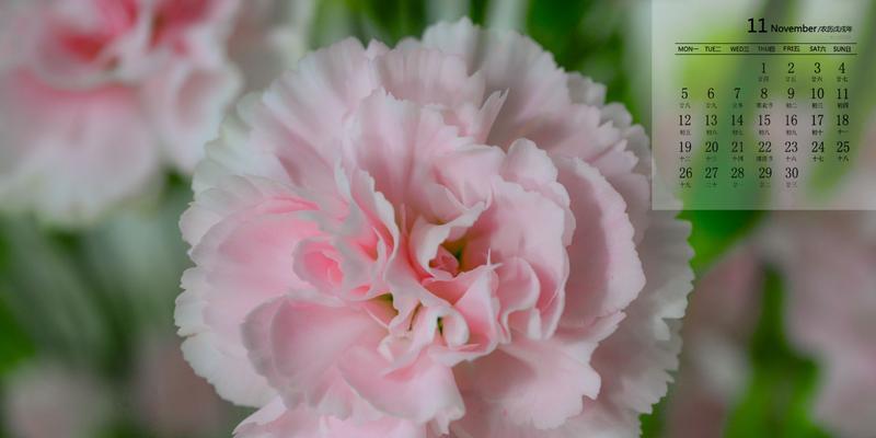 花语标签应该如何撰写？
