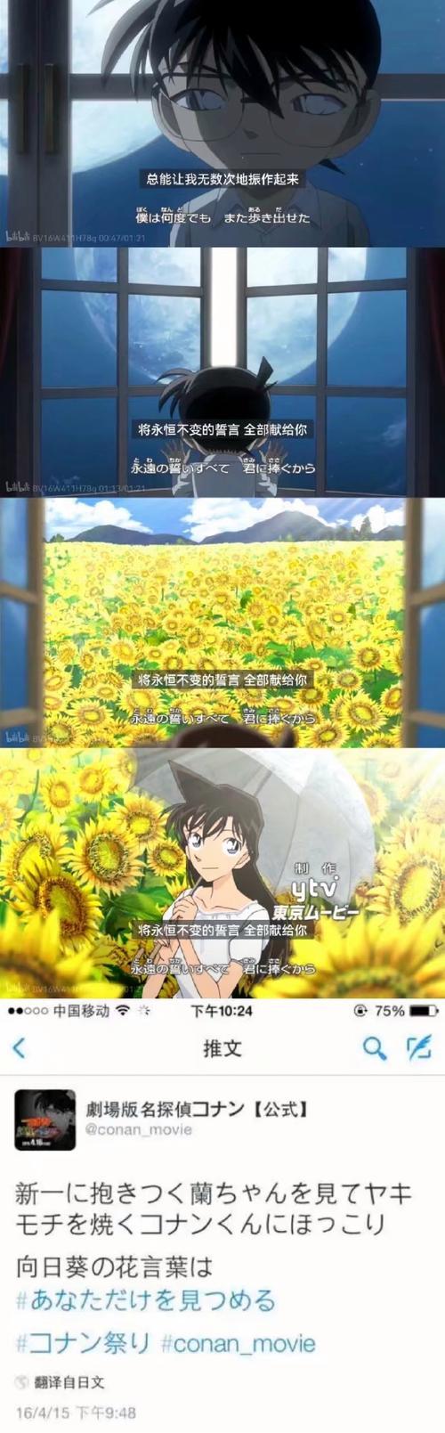 表达“我爱的只有你”的花语是什么？哪种花最能代表？