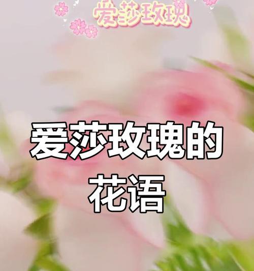 表达“我爱的只有你”的花语是什么？哪种花最能代表？