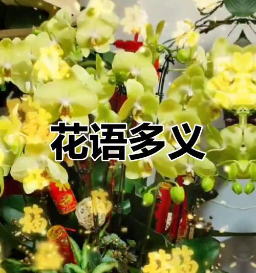 蝴蝶花语摇晃代表什么？摇晃的蝴蝶花语有哪些含义？