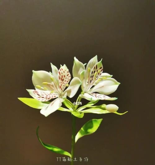 粘土花的花语寓意是什么？有何特别含义？