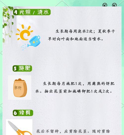 君子兰施肥的正确肥料选择是什么？