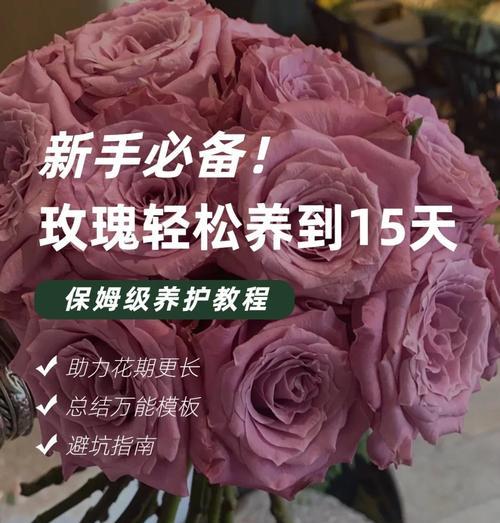玫瑰花应该如何修剪造型？有哪些技巧？