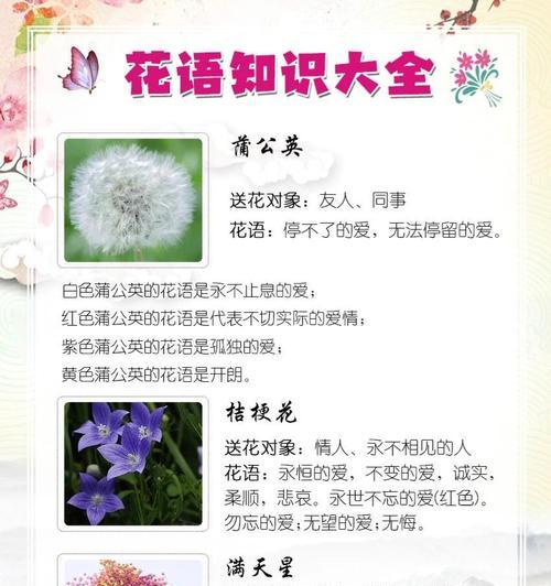 小三的爱花语具体是什么？