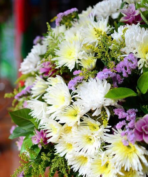 小枝菊花的花语和寓意是什么？它代表了什么？