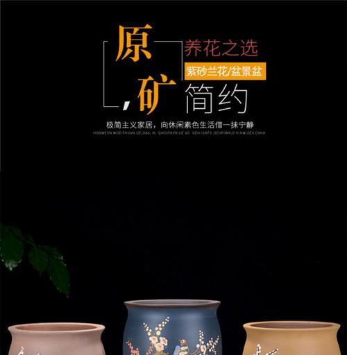 君子兰群生老桩的养护管理技巧是什么？