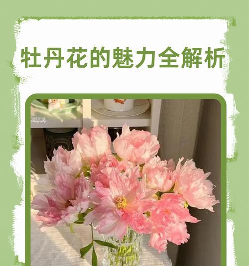 牡丹花过高需要修剪吗？修剪后如何养护？