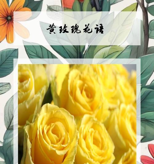送女朋友的花花语是什么？它表达什么情感？