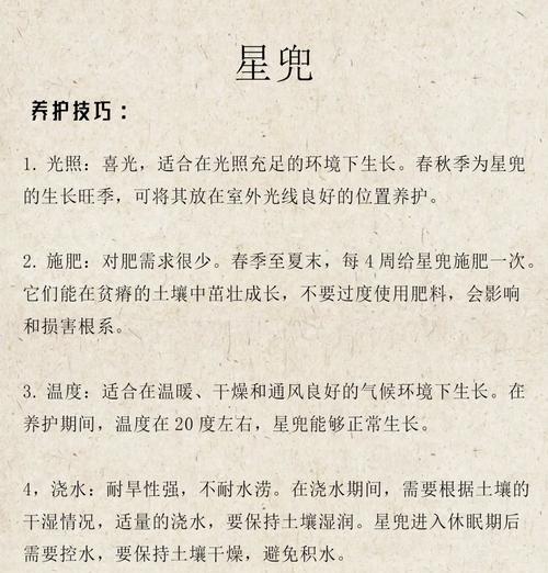 家养仙人掌开花后如何管理？