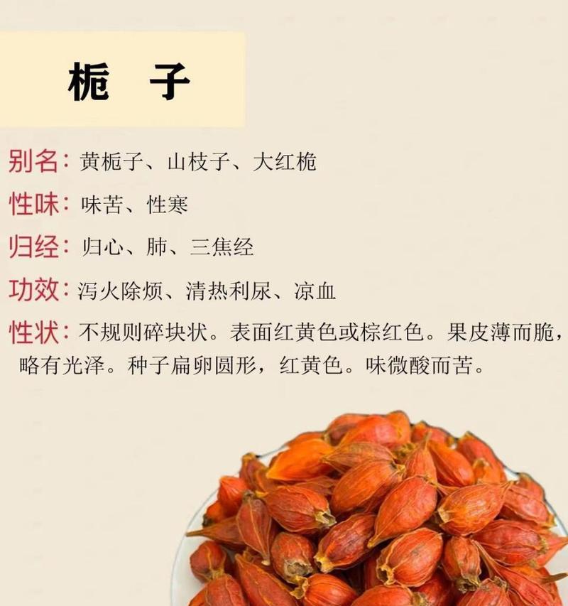 青栀子的花语和寓意代表什么？