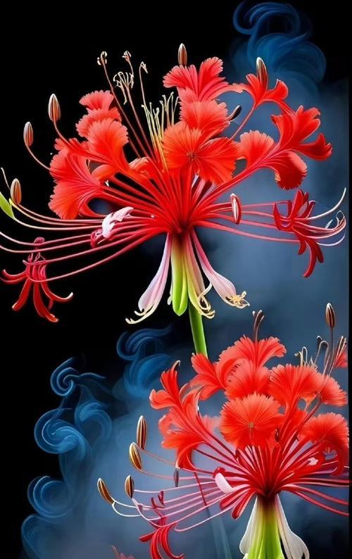 悲伤的花语通常由哪种花表达？