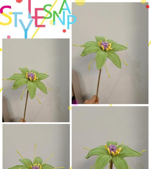 道具美丽花的花语有哪些？