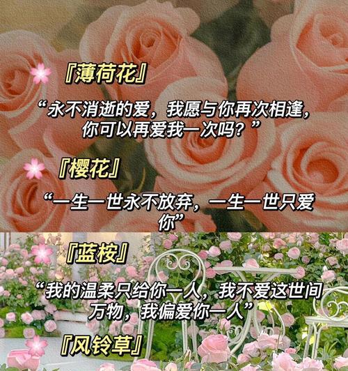 什么文案搭配花语既好听又好看？如何选择合适的文案？