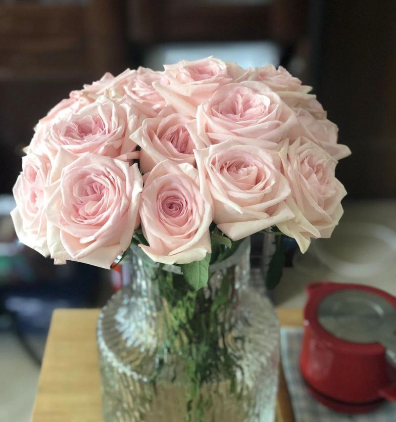 粉色玫瑰花如何保持新鲜状态？