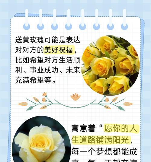 橘色玫瑰有几种不同的花语？