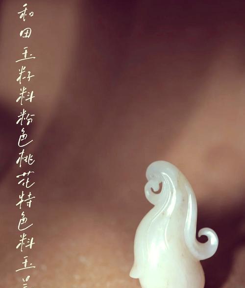 道具玉兰的花语代表了什么？它有何特别的寓意？