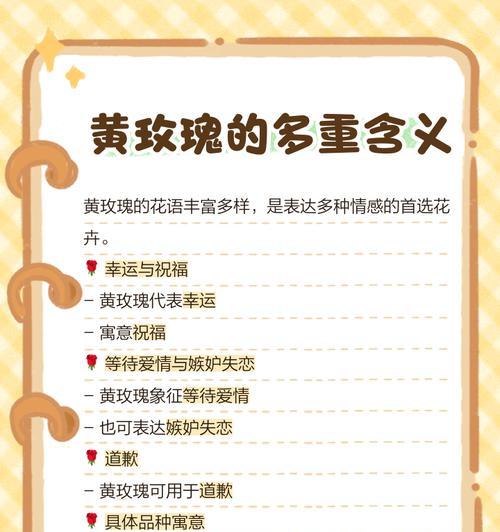 玫瑰花语有哪些不同含义？