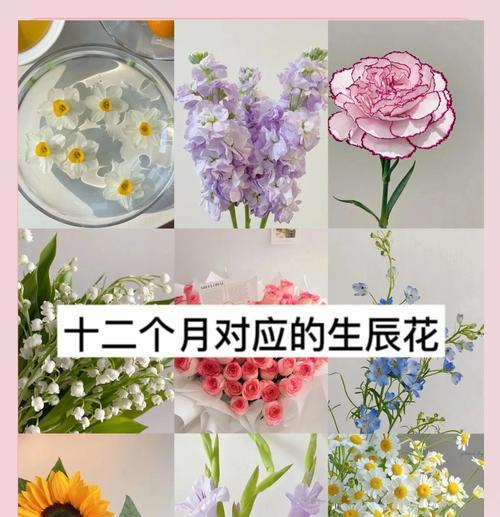 女领导生日送什么鲜花，其花语有何寓意？