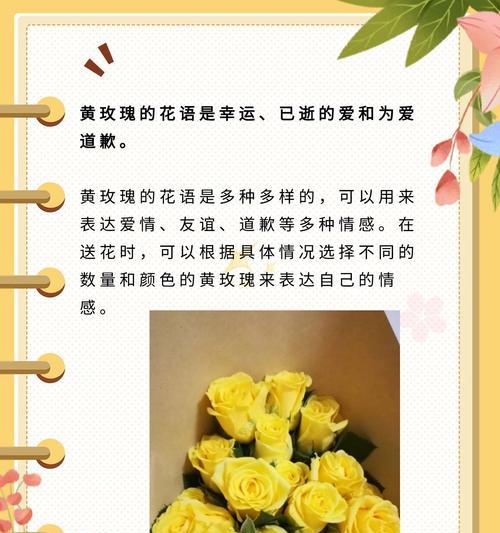 干掉的玫瑰花语是什么？干掉的玫瑰代表了什么？