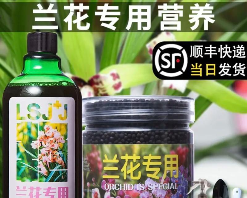 君子兰种植后应使用哪种肥料？施肥的正确方法是什么？