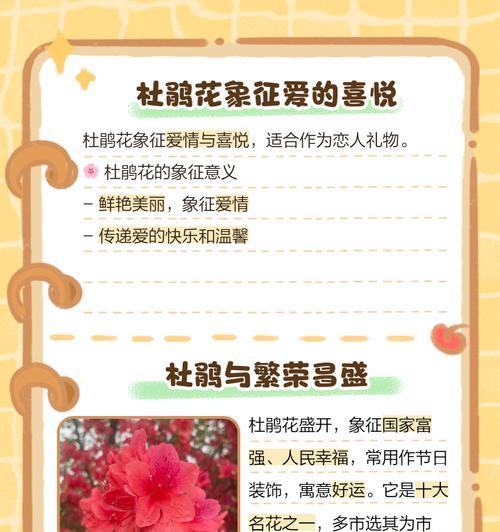 重现杜鹃花的花语有何深意？