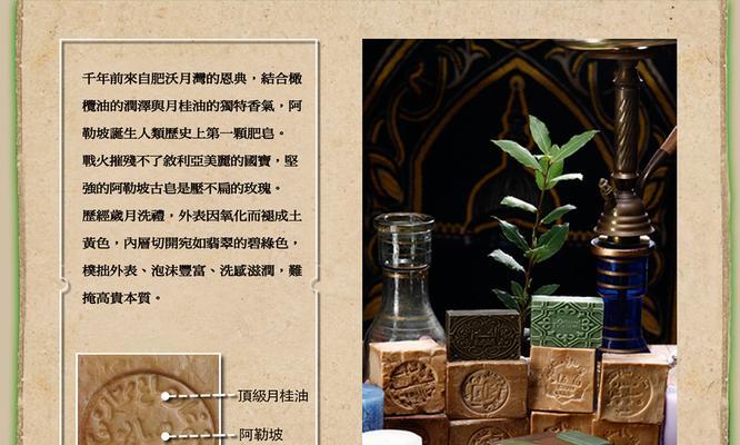 森林国王玫瑰花的养护技巧是什么？如何应对常见问题？