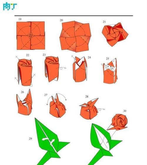 如何正确打叶子玫瑰花？常见问题有哪些？