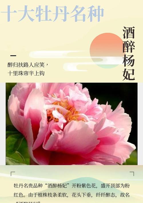 国色天香的花语具体是什么？