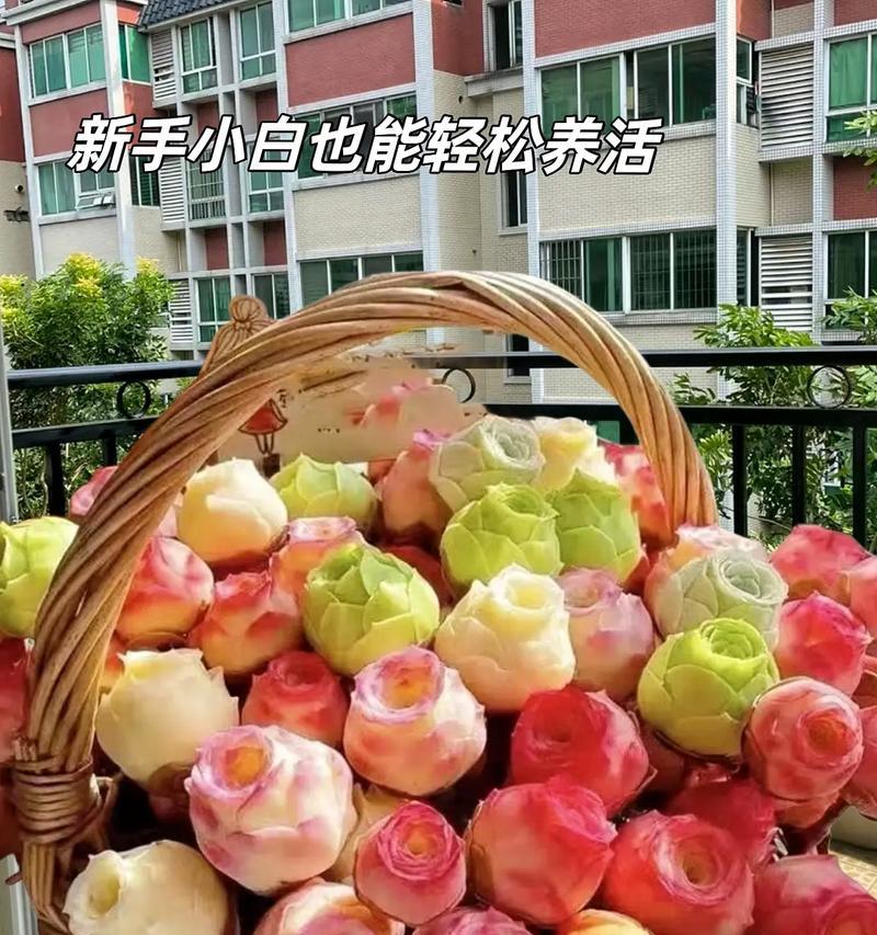 不凋谢的玫瑰的花语是什么？这种玫瑰代表什么？