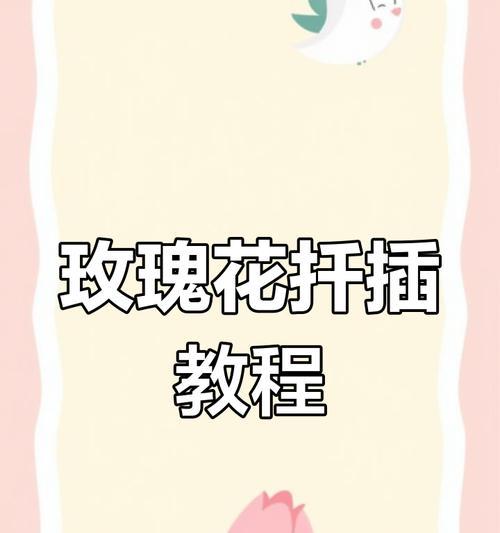 玫瑰花扦插的方法和技巧是什么？如何成功扦插玫瑰花？