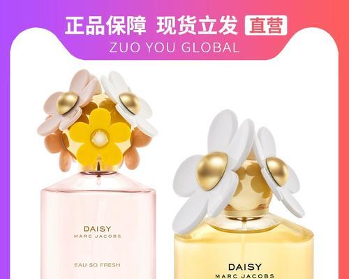 香水小菊的花语有哪些含义？香水小菊代表什么？