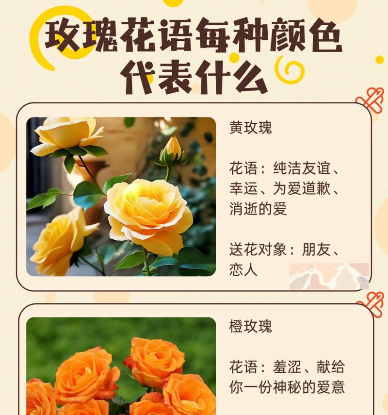 海滨玫瑰的花语是什么意思？海滨玫瑰象征着什么？