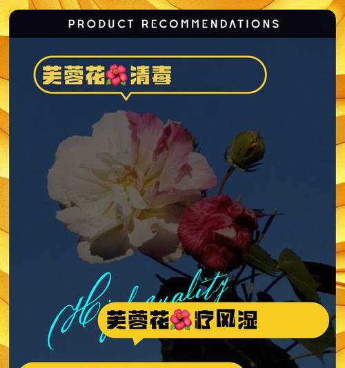 芙蓉花的花语与哪种花相似？它们有何共同之处？