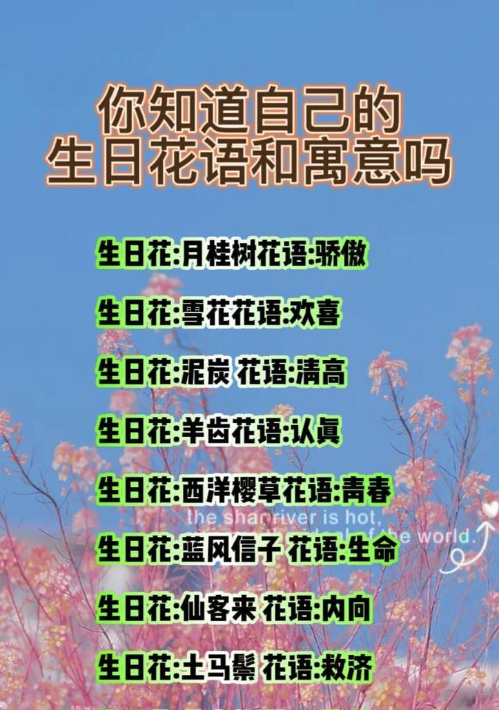 哪种花语最能吸引人？最受欢迎的花语有哪些？