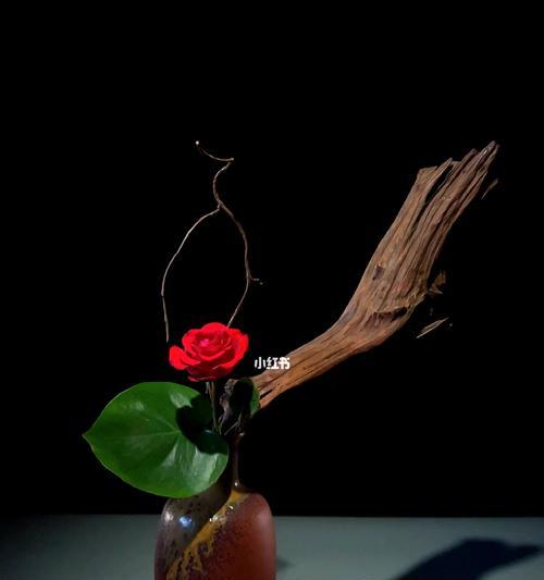 禅意瓶花玫瑰的养护方法是什么？