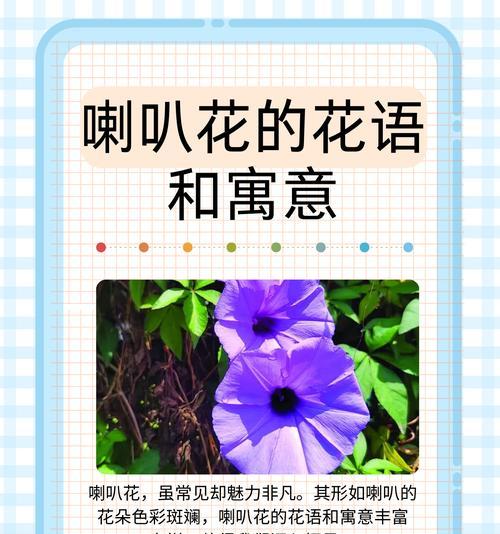 诡异花朵代表什么？它的花语和寓意有何深意？